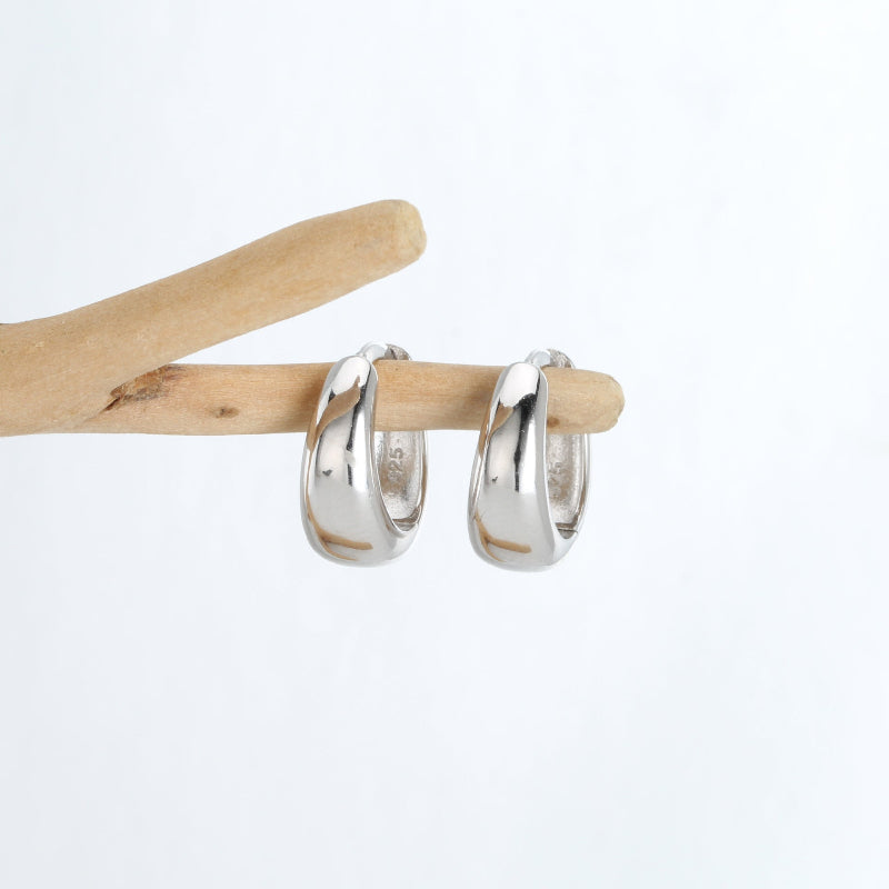 abalone teardrop earrings