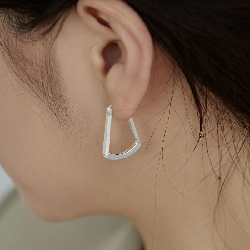 Brush Finished Drop Earrings


