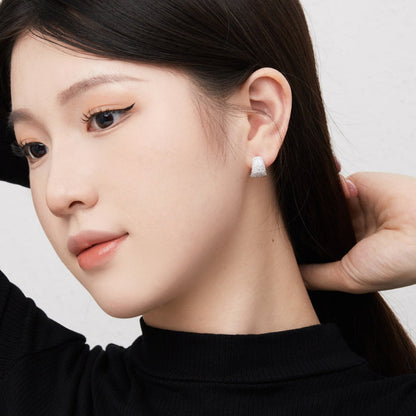 Elegant Crystal Dome Earrings

