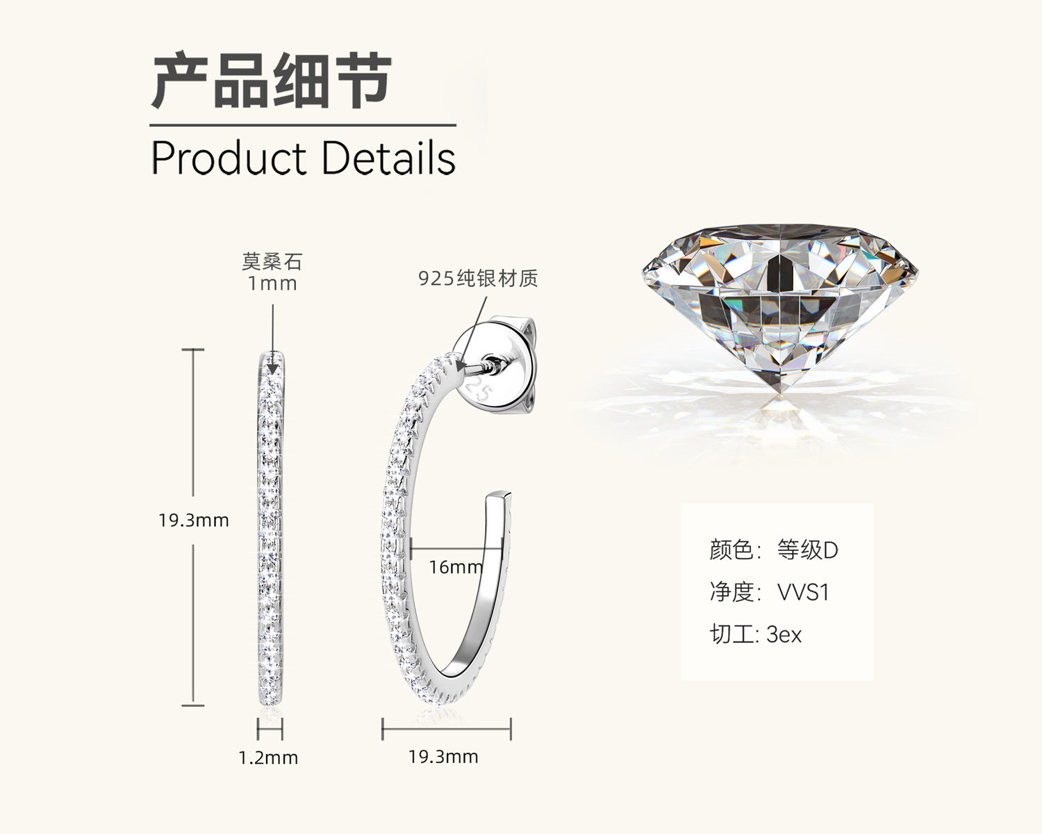Classic Diamond Studded Silver Loops

