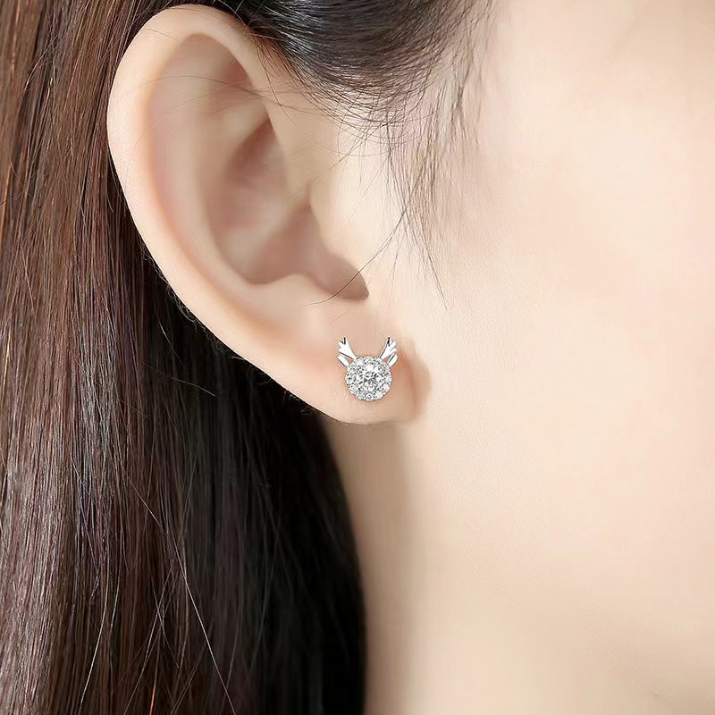 real antler stud earrings
