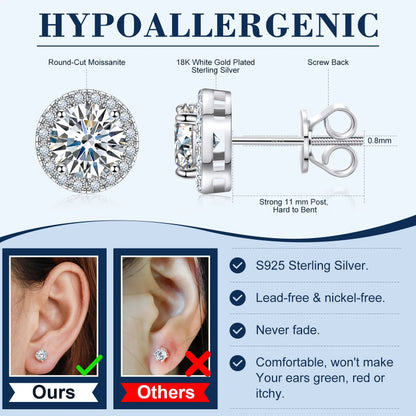 Halo Surround Stud Earrings

