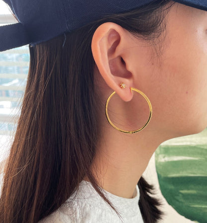 Shimmering Hoop Earrings

